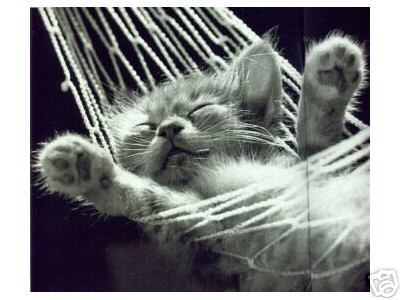 C la fin du Week.... mais...